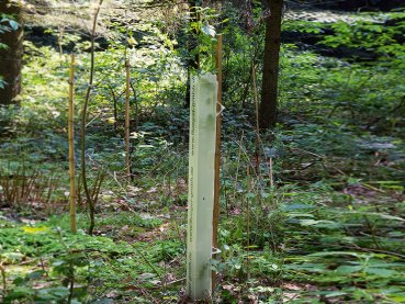Wuchshülle Microvent 90 cm SONDERAKTION