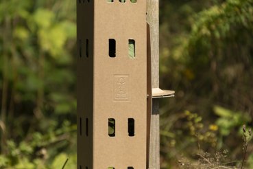Pappillon Schutz - und Wuchshülle
