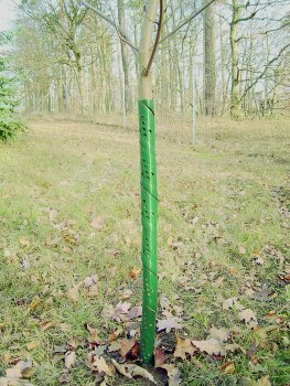 Rainbow Wild-und Fegeschutzspirale 60cm