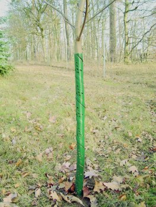 Rainbow Wild-und Fegeschutzspirale 60cm